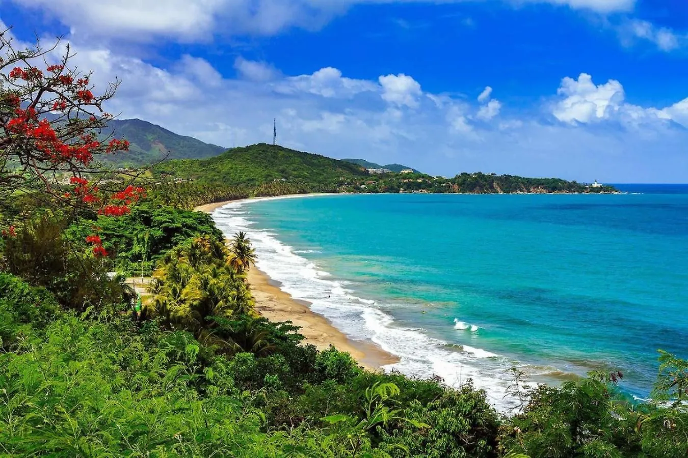 Vibrant San Juanroom Escape In Shared Home Near Historic Landmarks 0*,  Porto Rico